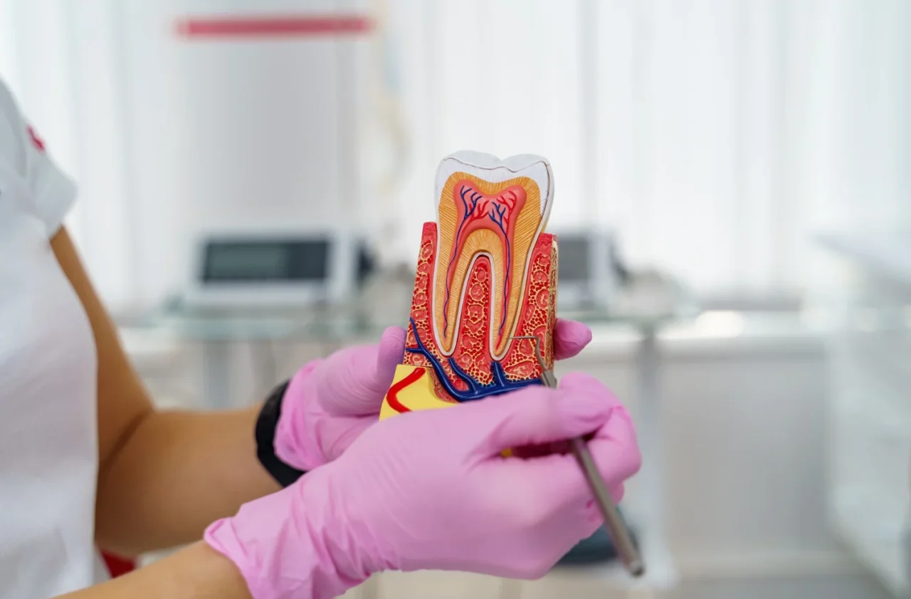 Our Root Canal Services